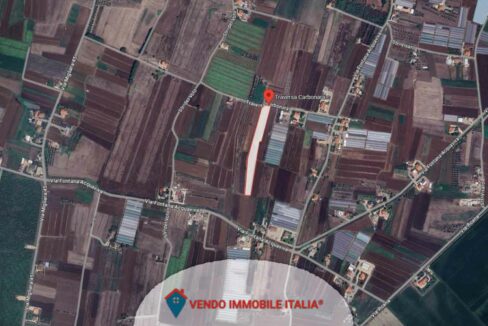 Terreno agricolo traversa carbonara-Sezze-LT di 1ha