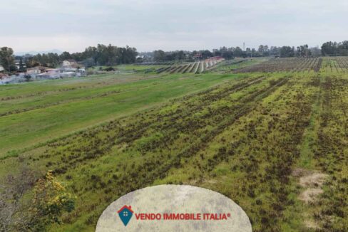Terreno-agricolo-via-pontina-Latina-LT-09