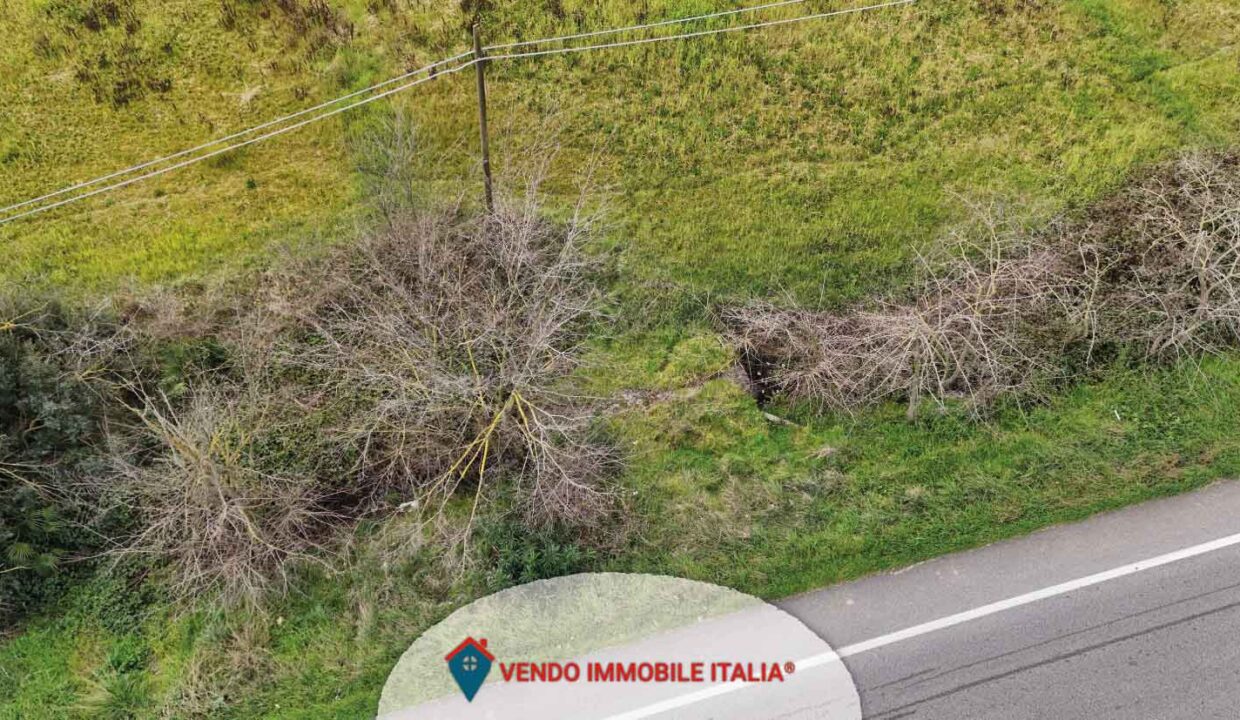 Terreno-agricolo-via-pontina-Latina-LT-10
